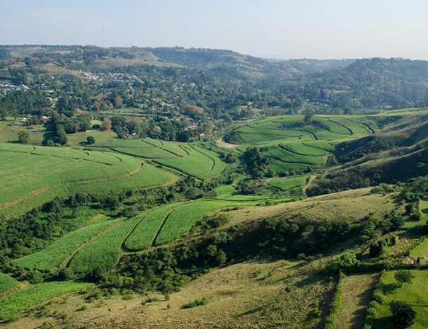 Tongaats-Ntshongweni-urban-development-gets-go-ahead