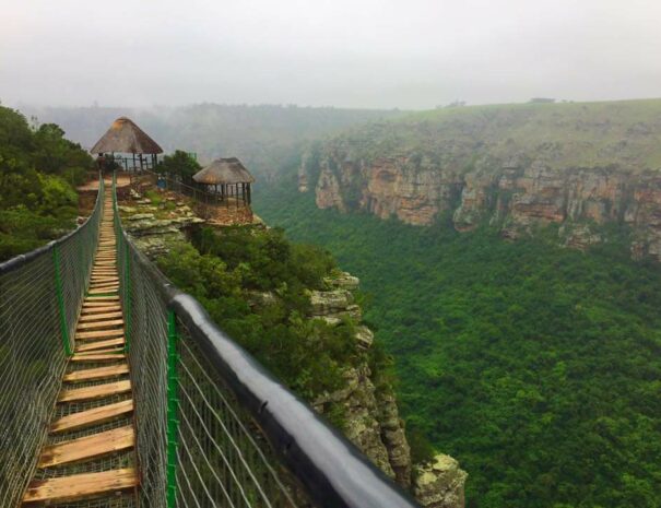 Rope Bridge